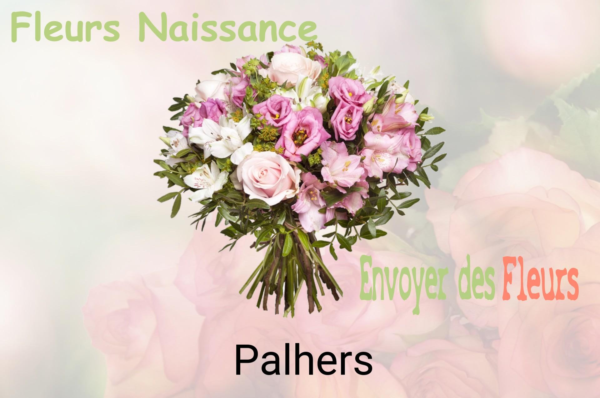 Bouquet de fleurs de naissance livré à Palhers