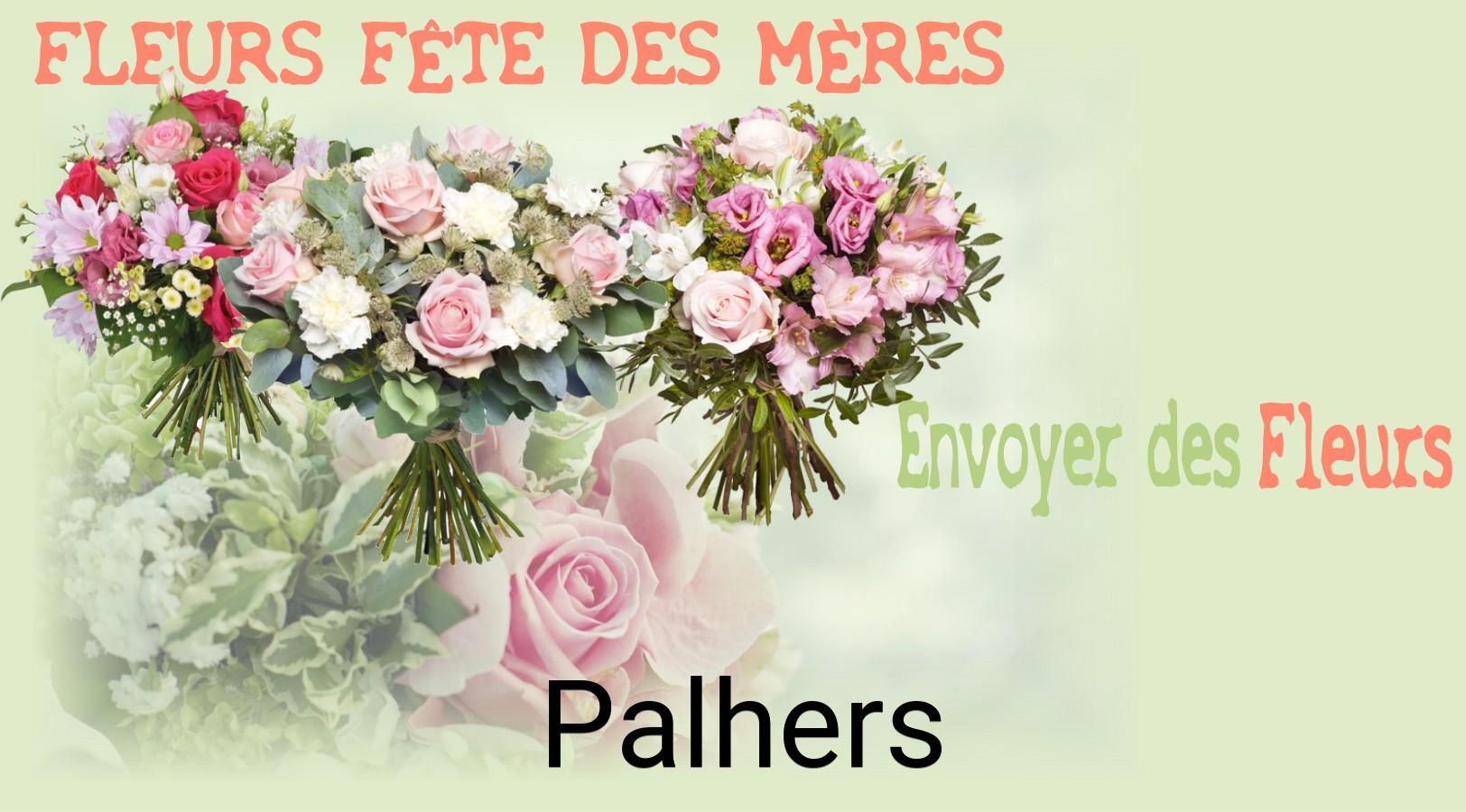 Bouquet de Fête des Mères livré à Palhers